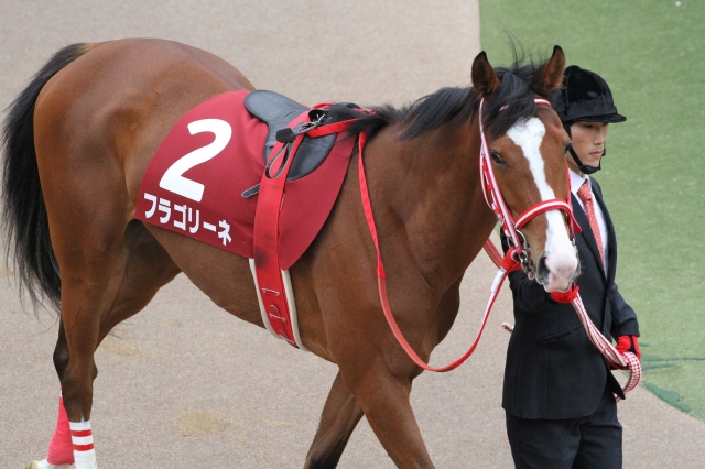 フローラステークス　パドック フラゴリーネ