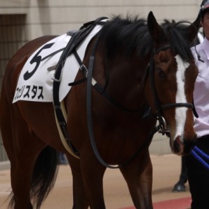 4月21日　京都5R　3歳未勝利戦