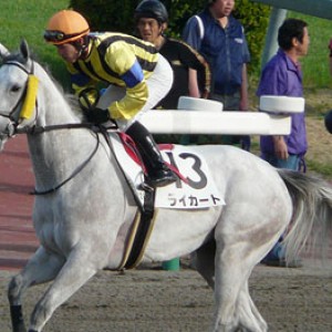 4歳以上1000万円以下