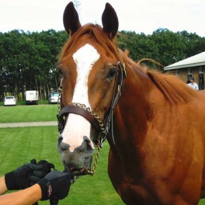 ジャンバルジャン