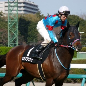 2009/03/29 中山10R 常総ステークス