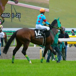 2007/06/03 東京12R 江の島特別