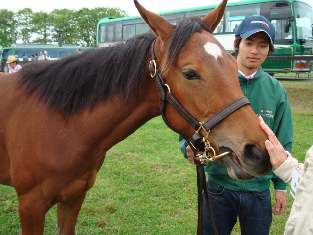 オルゲイユ オルゲイユ