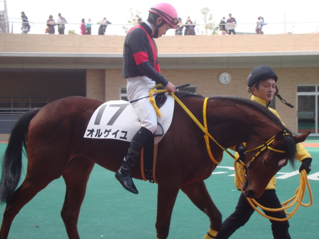 2013.2.3  6R メイクデビュー中京 オルゲイユ