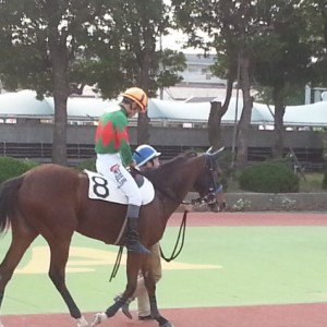 2013/10/31　Ｃ２三Ｃ２三３歳以上