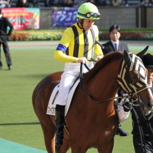2歳500万下　パドック