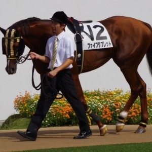 9月22日中山8R
