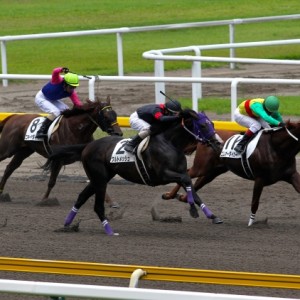 9/1：新潟2R・三歳未勝利ダ1200m