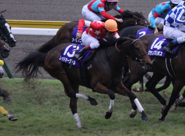 スプリンターズS レース レッドオーヴァル