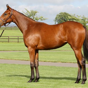 レッドオーヴァル募集時