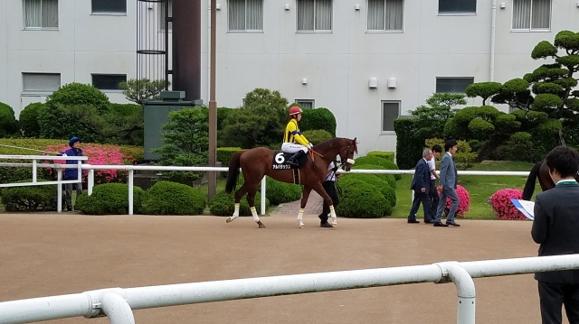 安土城Ｓ アルバタックス