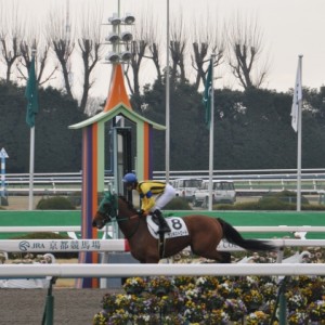 4戦目返し馬