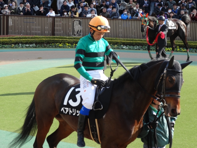 春菜賞 ベアトリッツ