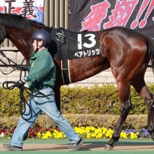 2013年2月3日　春菜賞