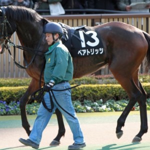 2013年2月3日　春菜賞