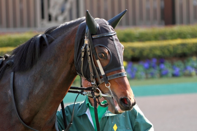 2013年2月3日　春菜賞 ベアトリッツ