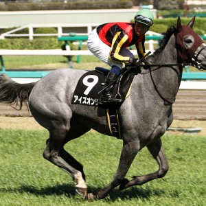 2013/04/07　デイジー賞