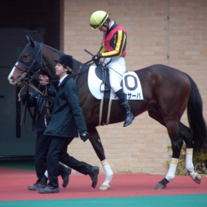 平成25年1月19日中京1Rパドック2