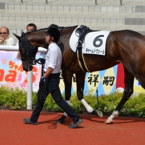 阪神500万下パドック