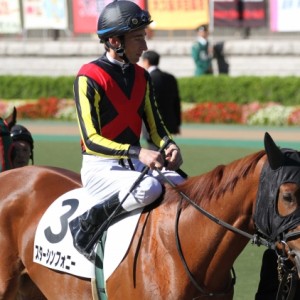 新馬戦　パドック