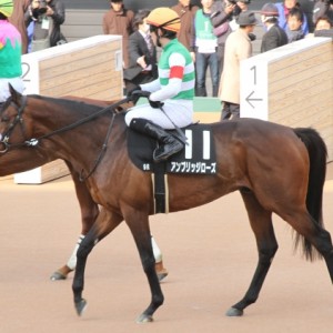 富里特別　グランプリロード