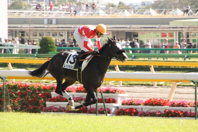 レッドセシリア　新馬戦　優勝 レッドセシリア