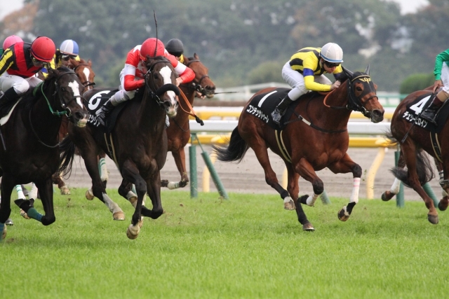 5勝目 レッドセシリア