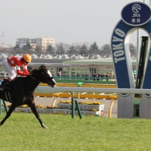 テレビ山梨杯ゴール前