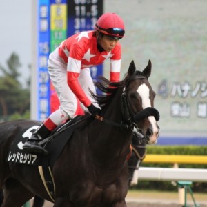 秋風ステークス 返し馬