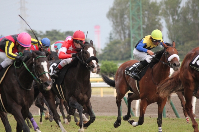 秋風ステークス レース レッドセシリア
