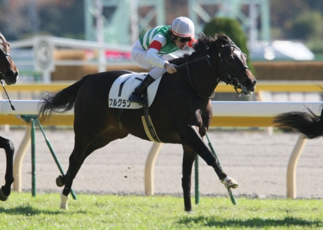 2歳新馬 フルグラン