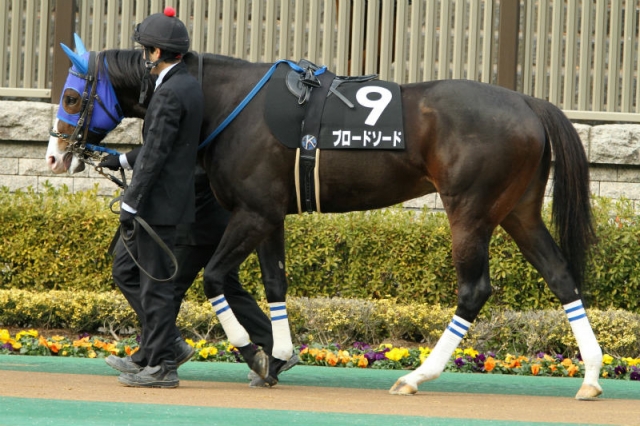 2014.02.10 白嶺Sパドック ブロードソード