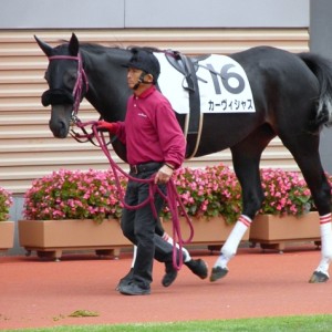 ２歳未勝利戦（新潟）