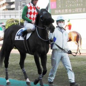 お正月の川崎競馬③