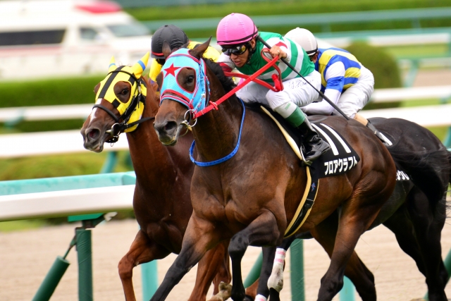 仲秋Ｓ　2015-0921 フロアクラフト