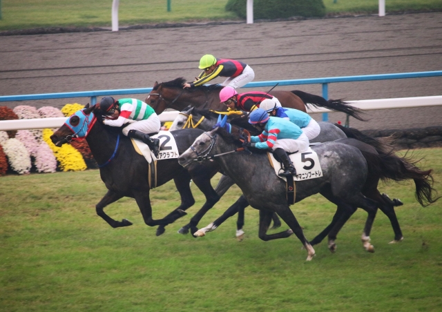 2013-11-03 3歳以上500万下(京都芝2000m) フロアクラフト