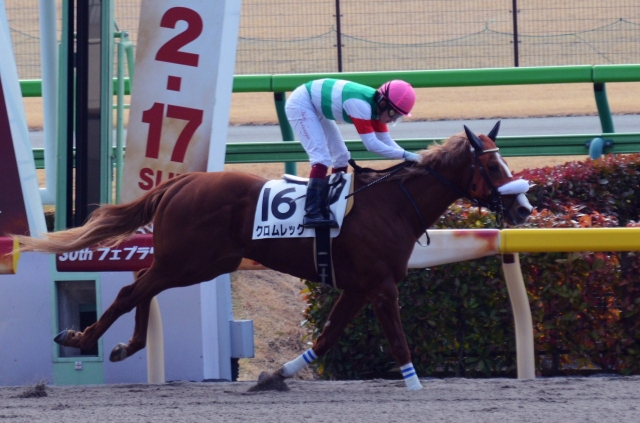3歳未勝利 クロムレック
