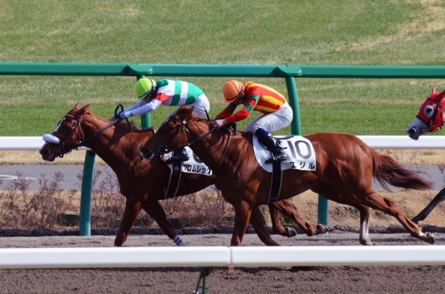 3歳500万下 クロムレック