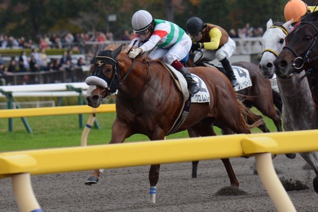 3歳上500万下 クロムレック