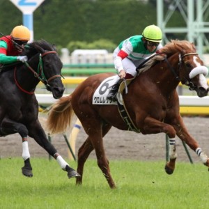 新馬戦　直線思ったより伸びず・・・