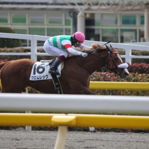 ２０１３年２月９日　３歳未勝利戦　直線