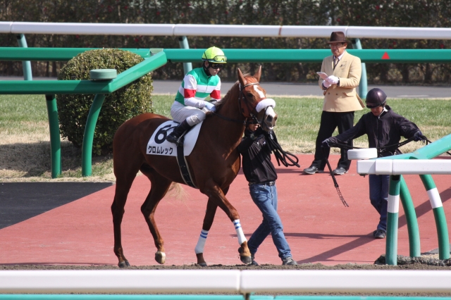 ２０１３年３月２日　３歳５００万下　馬場入場 クロムレック