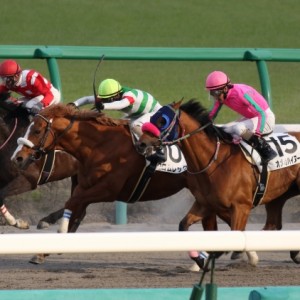 2016年3月27日　1000万下　直線