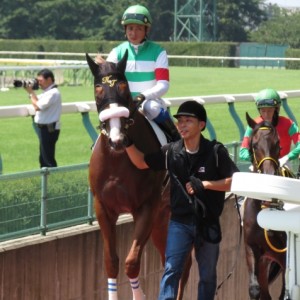 2歳未勝利本馬場入場