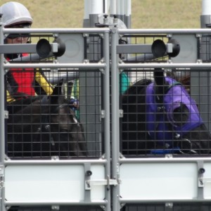 2013年6月29日中京６R