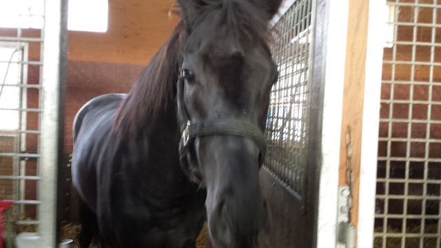 NF早来にて ローゼンガルテン