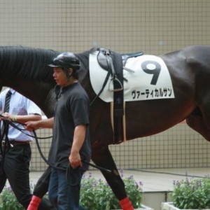 阪神メイクデビュー　１８００（芝）　パドック