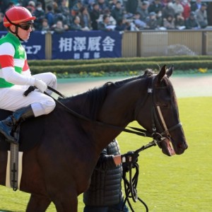 2014年2月2日　箱根特別