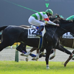 2014年11月24日　500万下