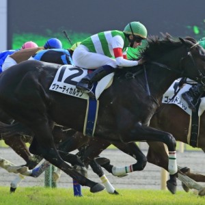 2014年11月24日　500万下